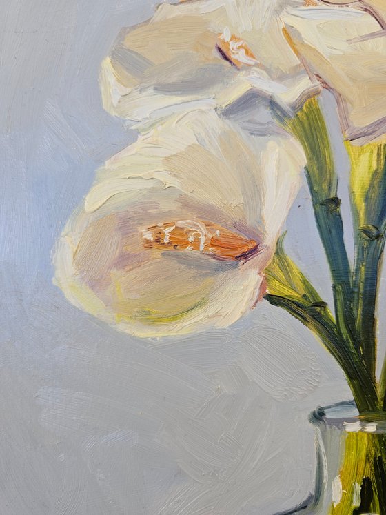 White Calla Lilies