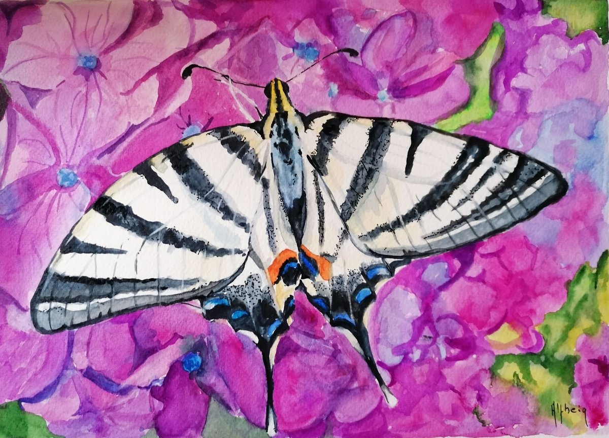 Butterfly and hydrangea by Martine Vinsot