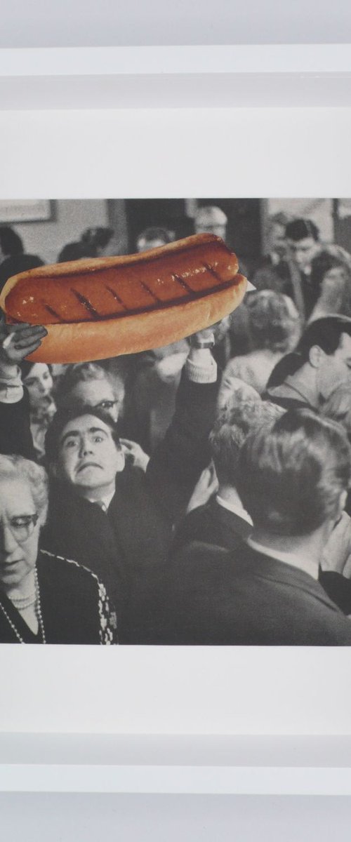 Hot Diggity Dog by Paper Draper