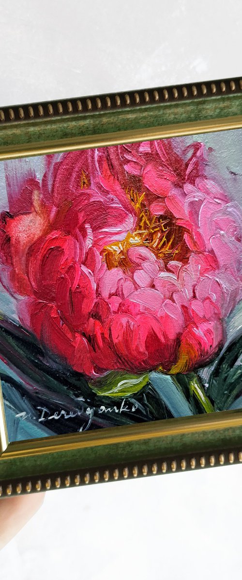 Hot pink peony flower by Nataly Derevyanko