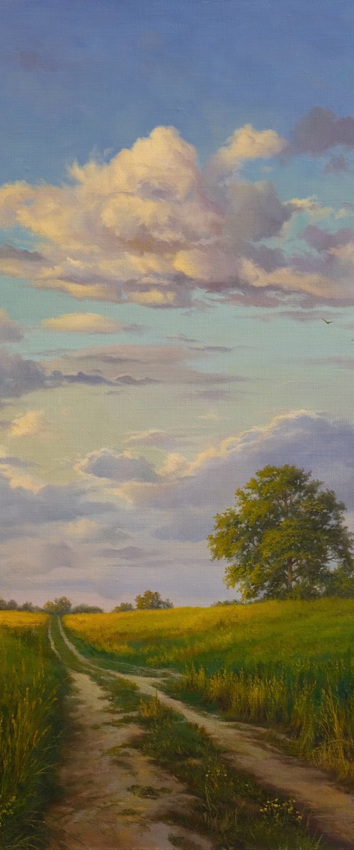 Summer evening by Eduard Zhaldak