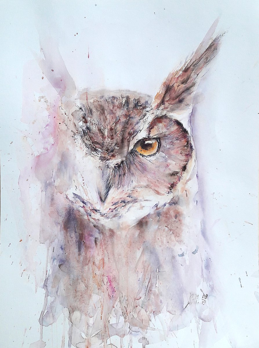 Owl by Sveta Hubmann