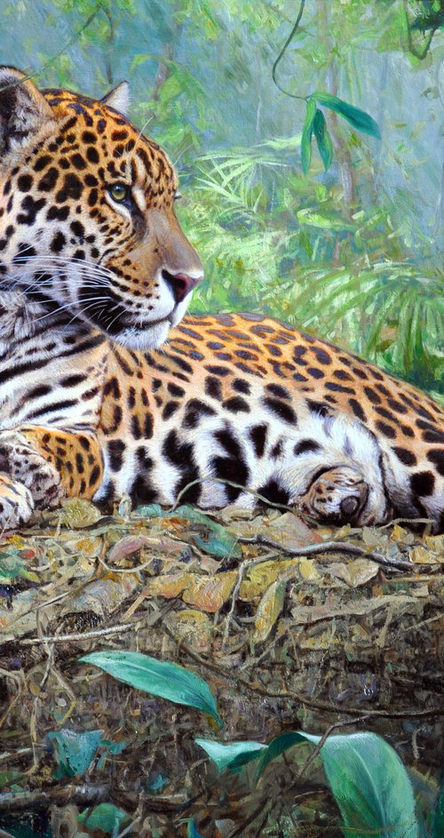 God In The Jungle by Gabriel Hermida
