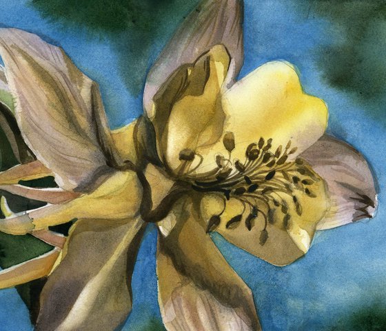 columbine with blue watercolor floral