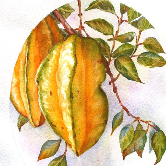 Carambola