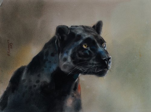 Black leopard by Irina Kukrusova