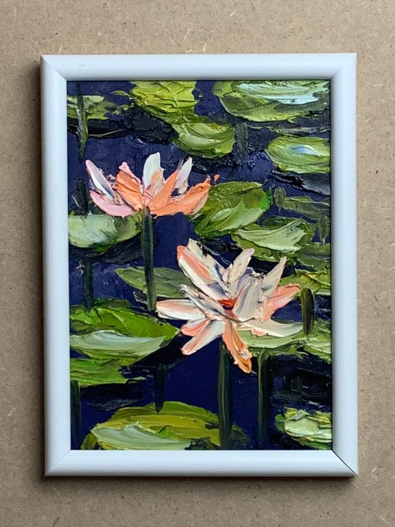 Water Lilly pond.