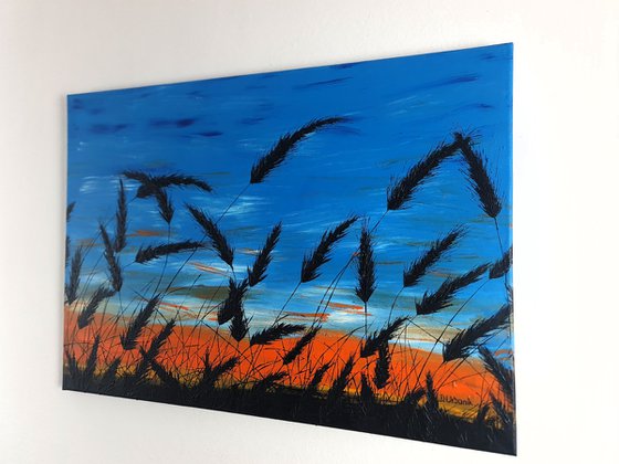 Sunset in the grass