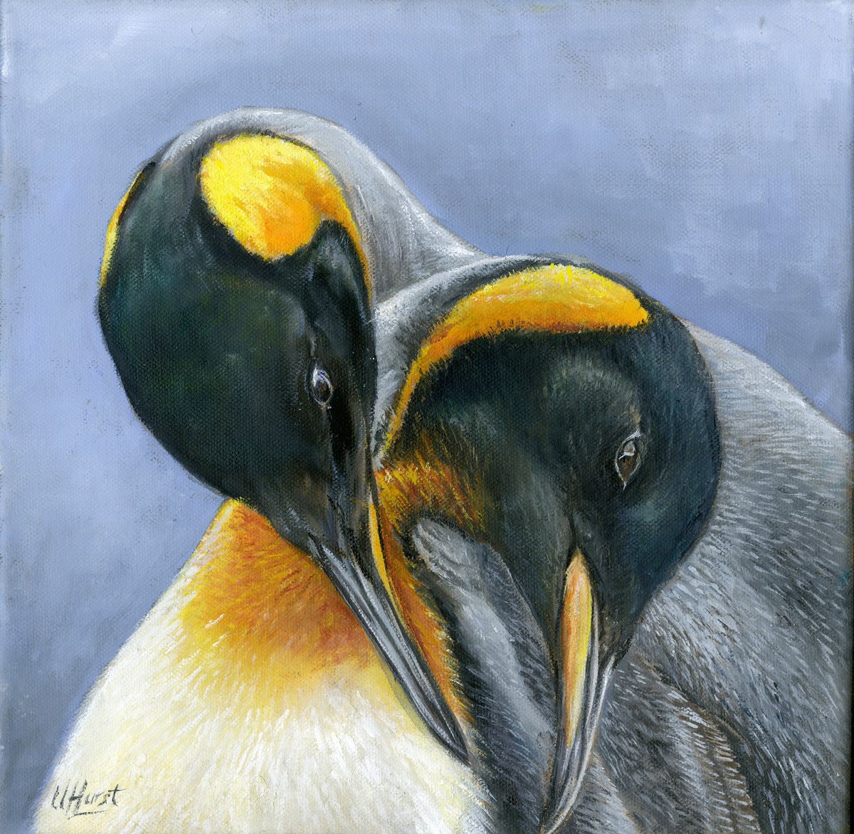 King penguins by Una Hurst