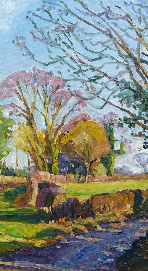 Winter Light, Terrington by Jeff Parker