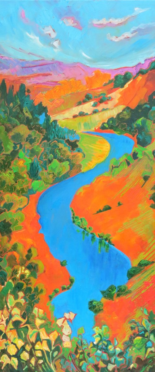 The River Wye Meandering by Mary Kemp