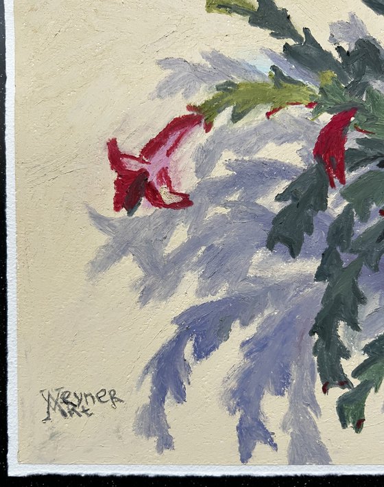 Christmas cactus