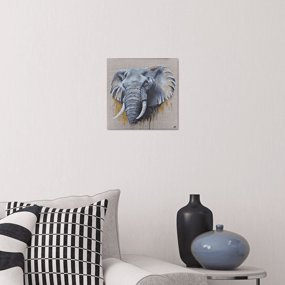 Elephant Grey #1