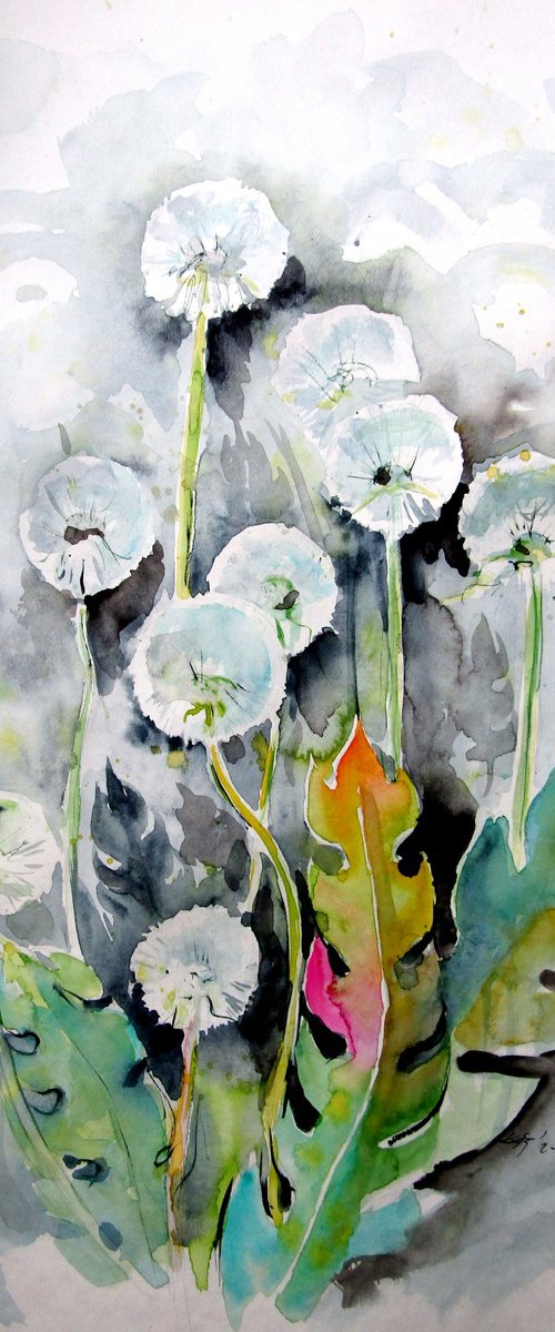 Old dandelions II by Kovács Anna Brigitta