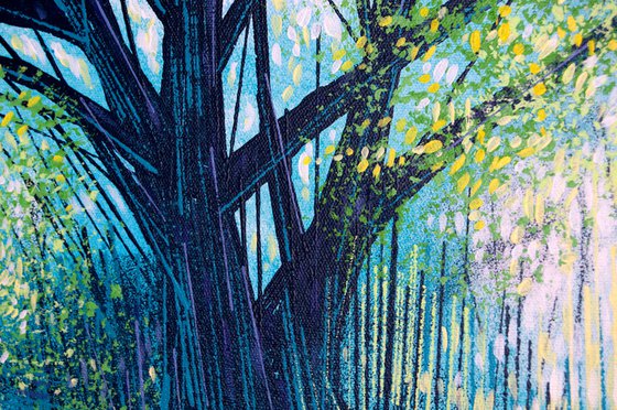 Light Through Summer Trees