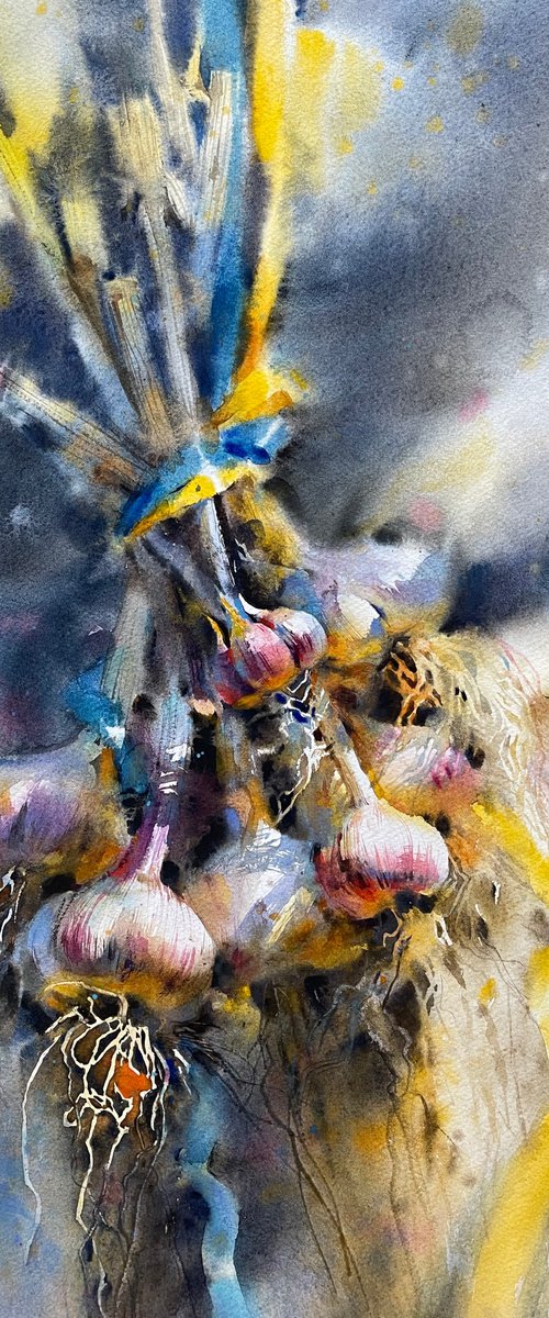 Ukrainian garlic. by Samira Yanushkova