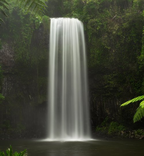 Millaa Millaa Falls by Nick Psomiadis