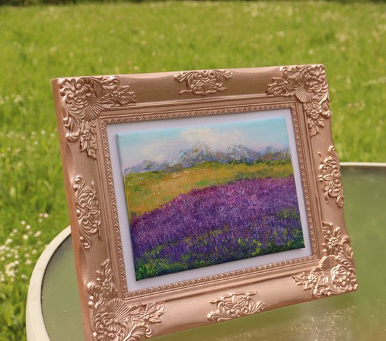 Lavender field framed
