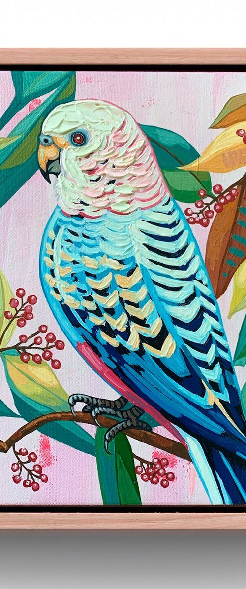 Budgie Beauties: Dazzle by JULIE LYNCH