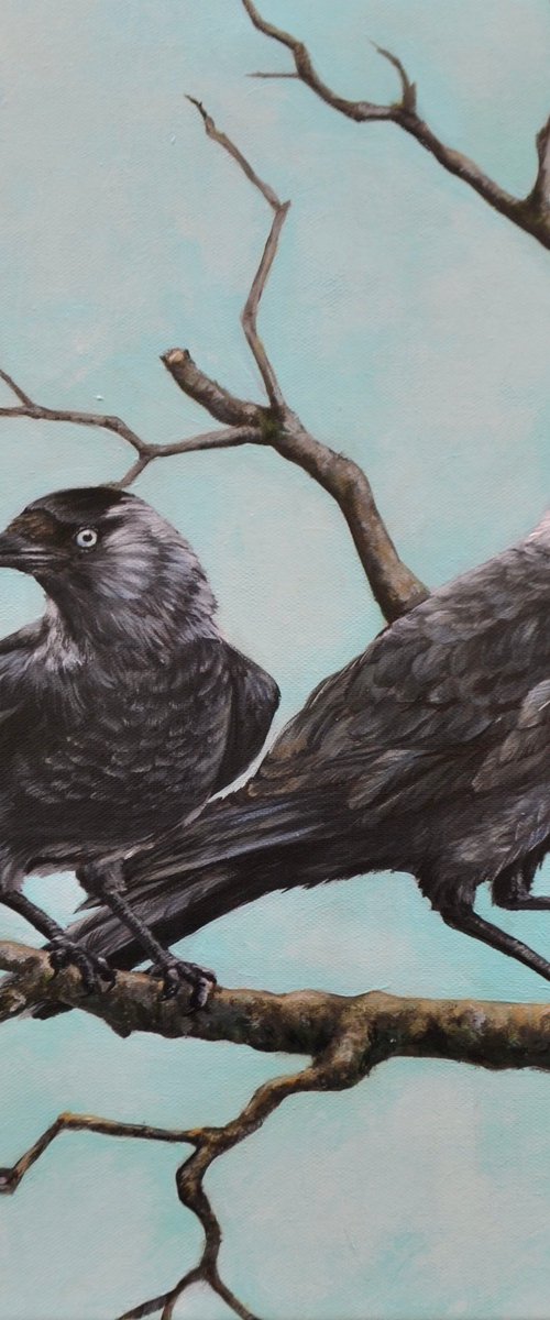 COURTYARD MEMORIES VI: JACKDAWS by Yuliia Naumenko