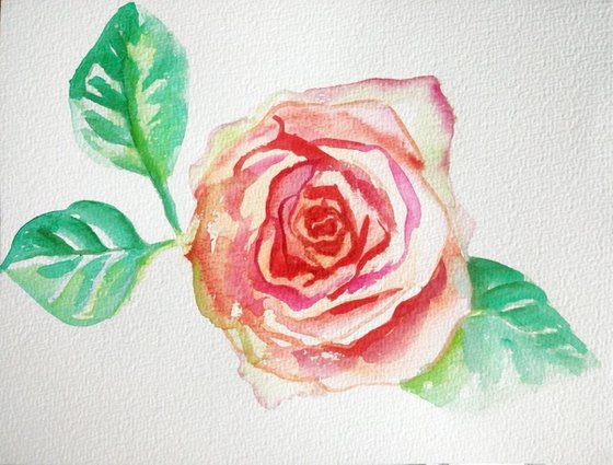 Flower Rose.