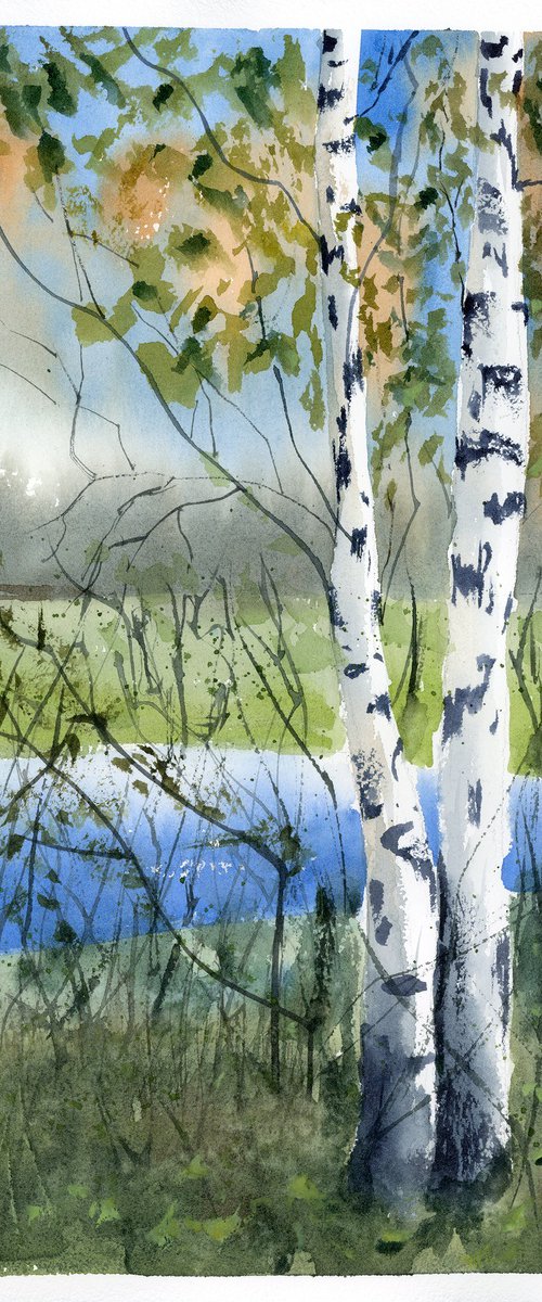 Birch Trees Landscape #1 by Olga Tchefranov (Shefranov)