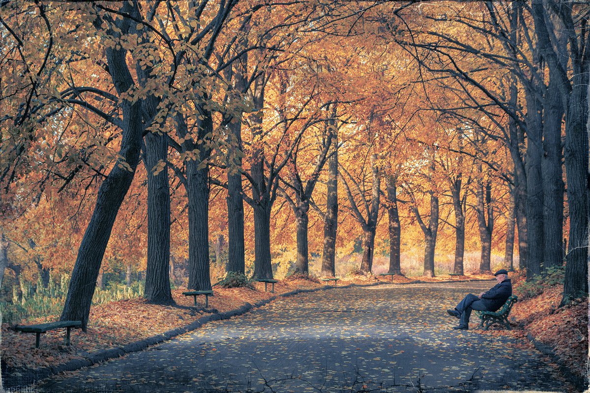 Impressionistic Landscape Photograph By Valerix, 24 X 16", Sunny Autumn Days., Original Artwork