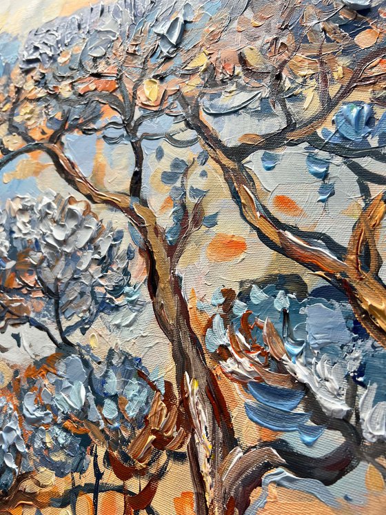 Coastal Pines