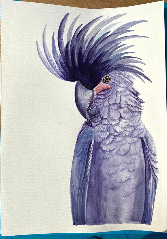 Black palm cockatoo, A Playful Glimpse of Nature in Watercolour