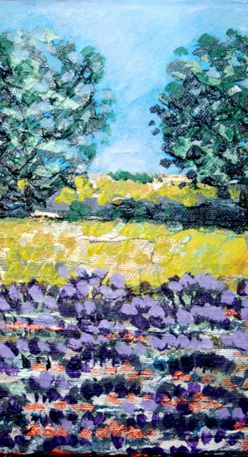 Selborne Lavender Fields III by Paul J Best