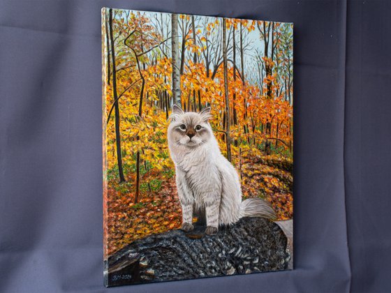 AUTUMN CAT
