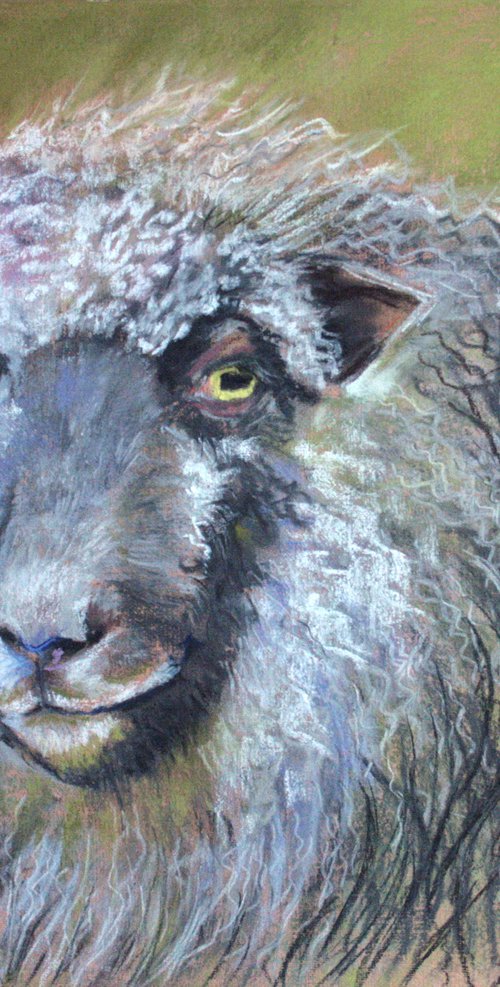 Sheep... /  ORIGINAL PAINTING by Salana Art Gallery