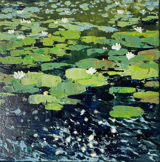 Water lilies. Symphony of wind, glare and water