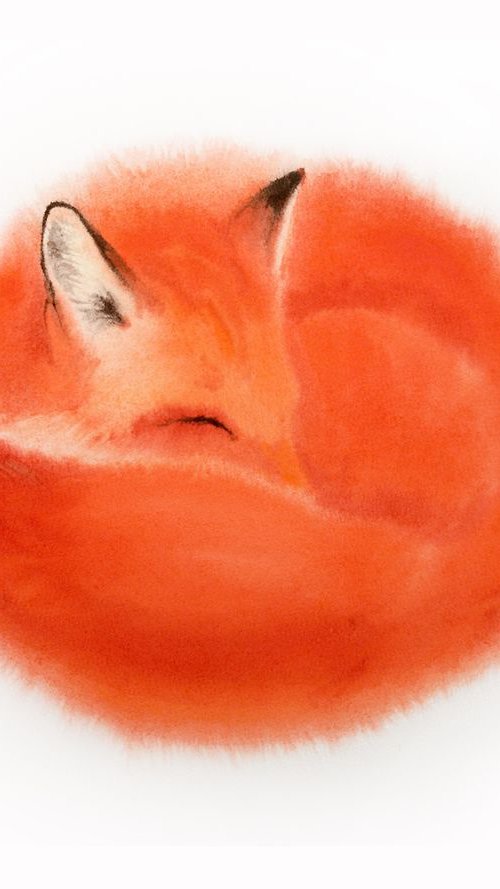Red Fox Curls Up for a Nap #1 by Olga Beliaeva Watercolour