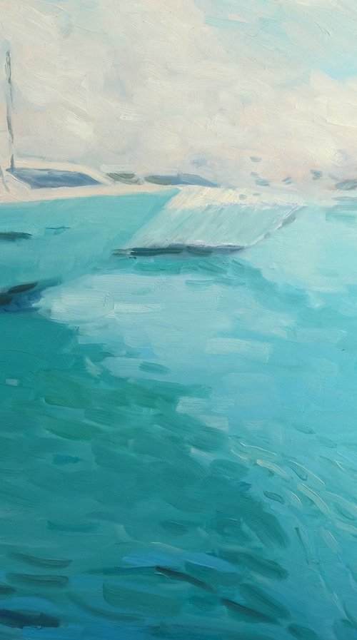 Yacht port in Antibes 1. by Richard Mierniczak