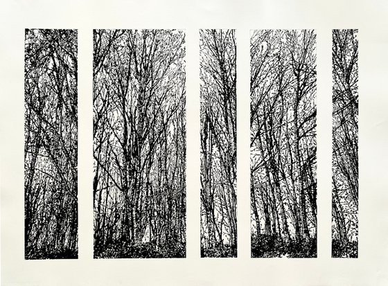 Quiet Spaces