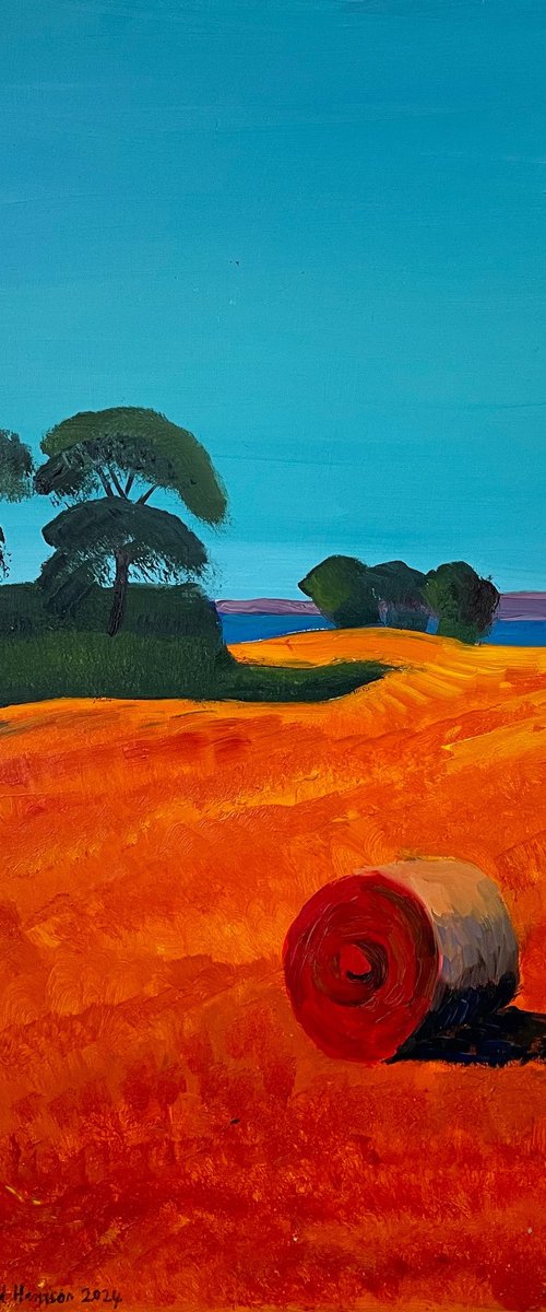 Summer fields near Drumeldrie by Stephen Howard Harrison