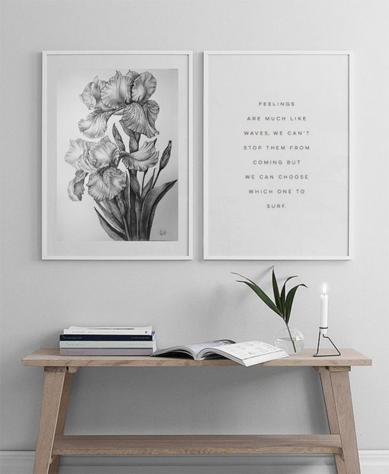 Iris Study in Graphite
