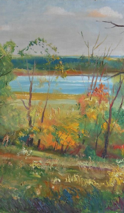 Boldinsky landscape by Vyacheslav Onyshchenko