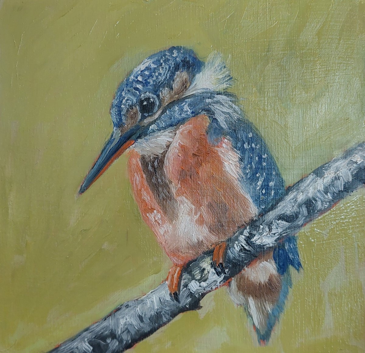Impressionistic Animal Oil Painting By Els Driesen, 8 X 8, Kingfisher, Original Artwork