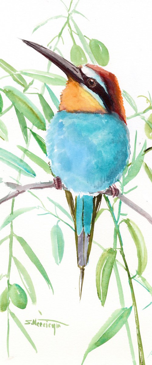 euroepan bee eater and olives by Suren Nersisyan