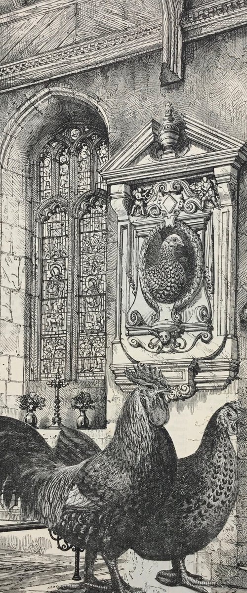 Chanticleer by Tudor Evans