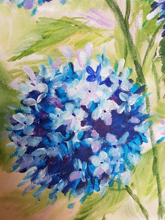 "Blue hydrangeas"