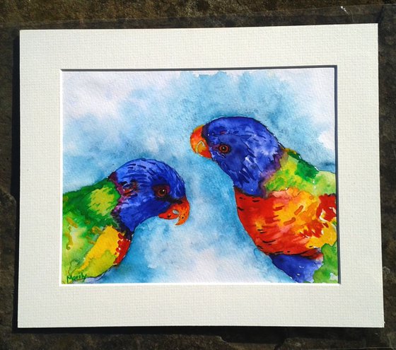 "Rainbow lorikeets"