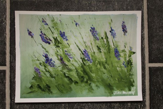 Lavender