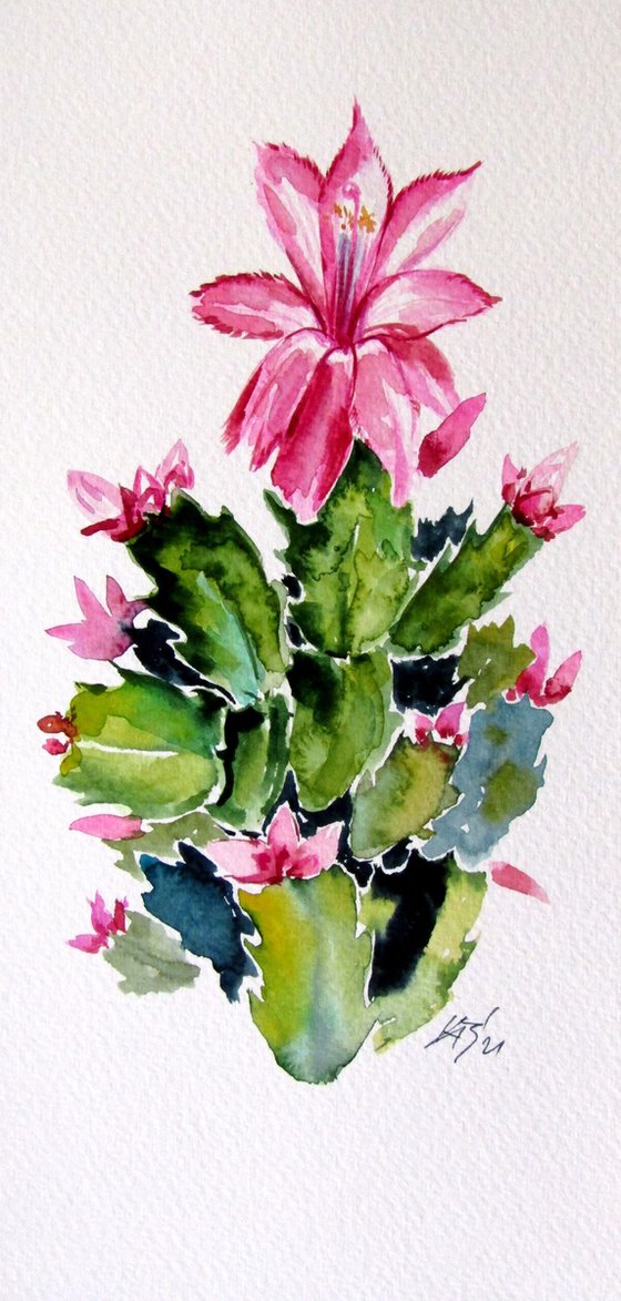 Christmas cactus