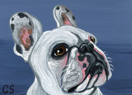 ACEO ATC Original Miniature Painting French Bulldog Pet Dog Art-Carla Smale