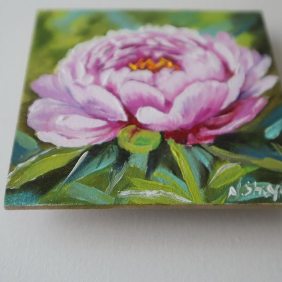 Peony Painting Framed