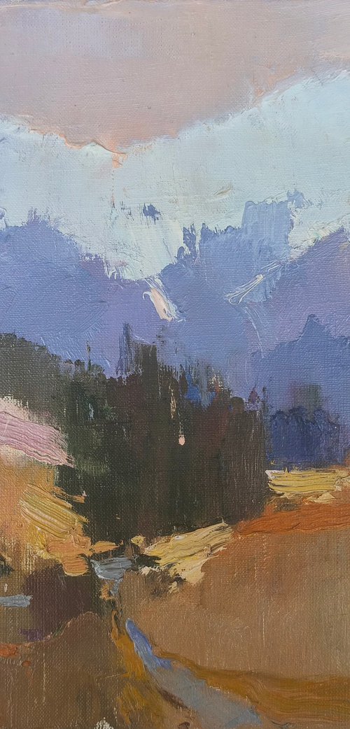 Borzhava Valley by Alexander Shandor