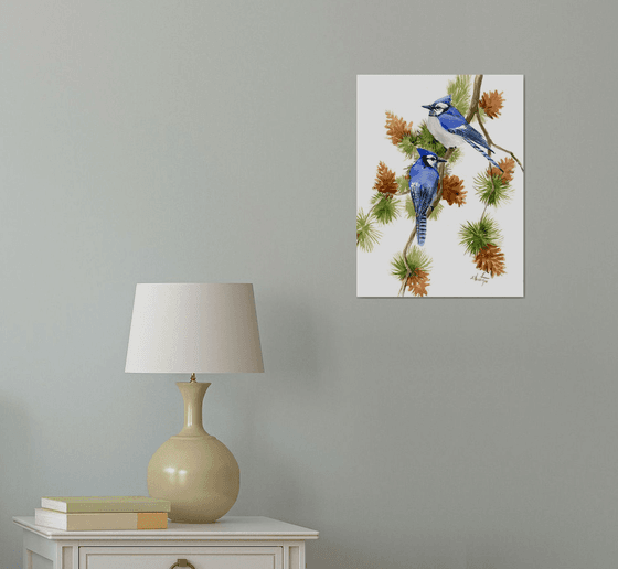 Blue Jays on the Pine